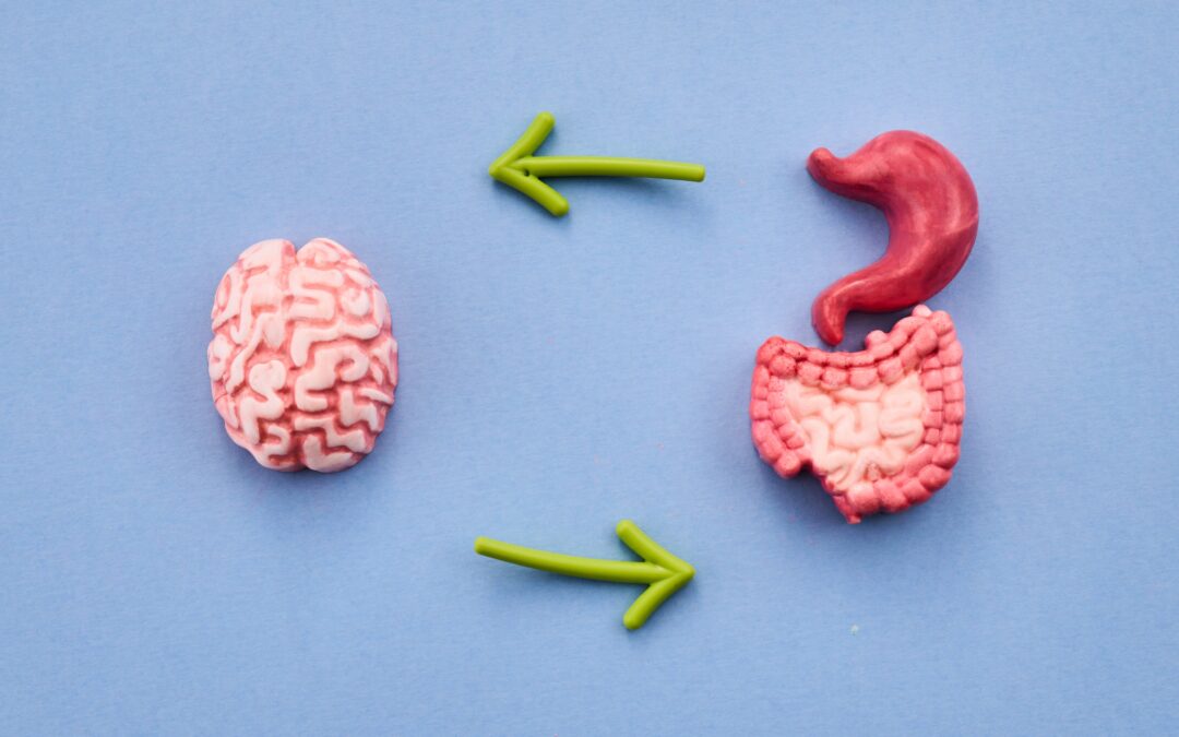 The Connection Between Gut Health and Mental Wellness