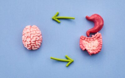 The Connection Between Gut Health and Mental Wellness